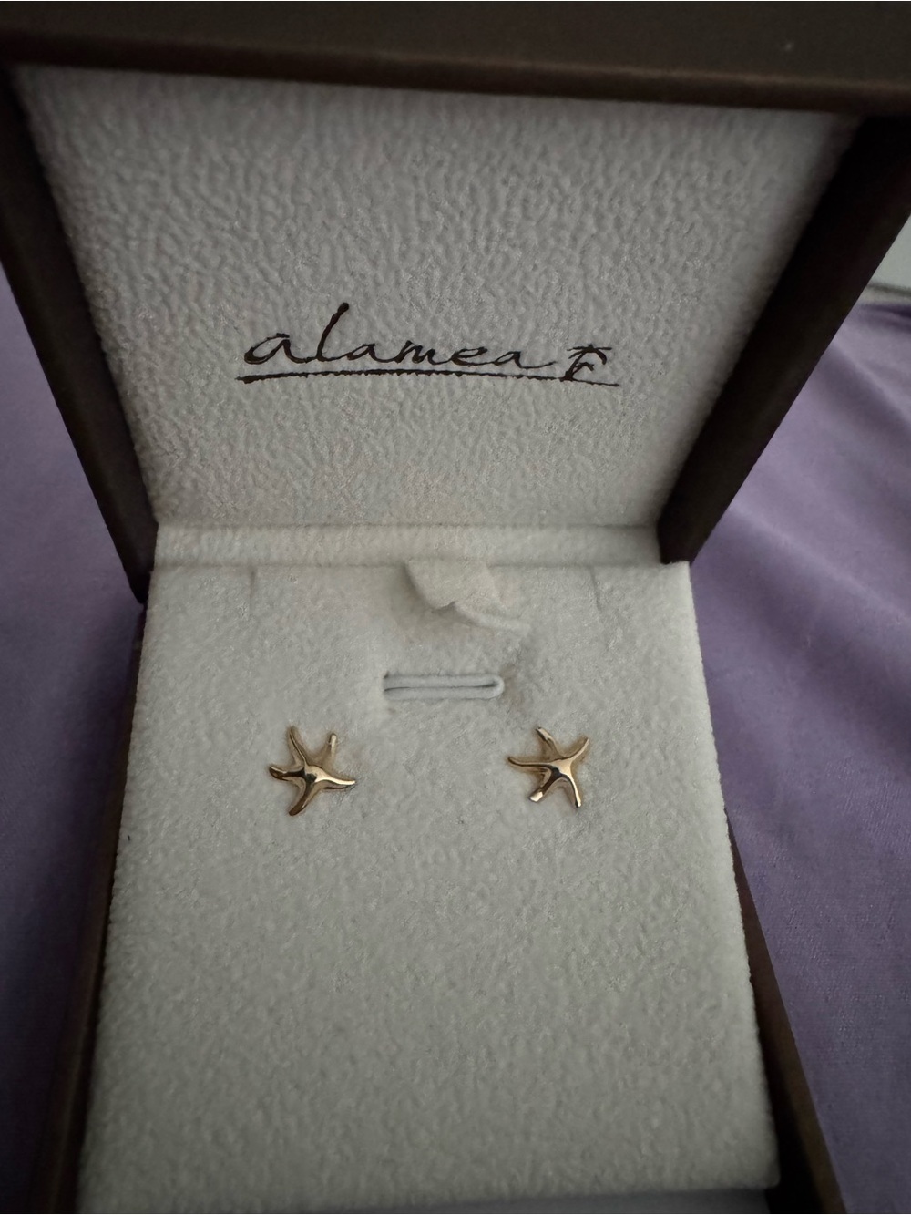 Alamea Gold Starfish Stud Earrings - Women Jewelry